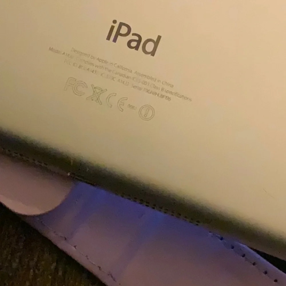 Unlocked iPad mini 4